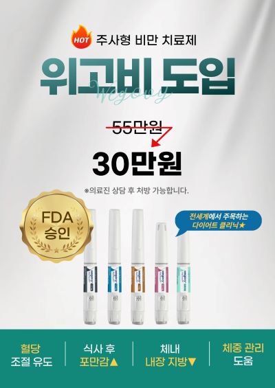 위고비